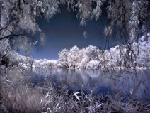 Murray River Infra-red